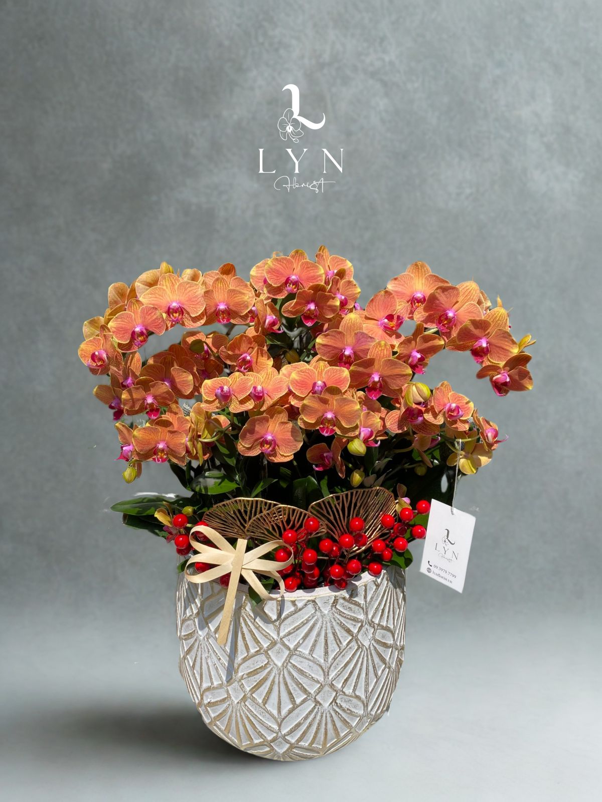 Chậu Hoa Lan Mini Cam - 2v